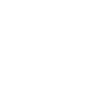 vector 1